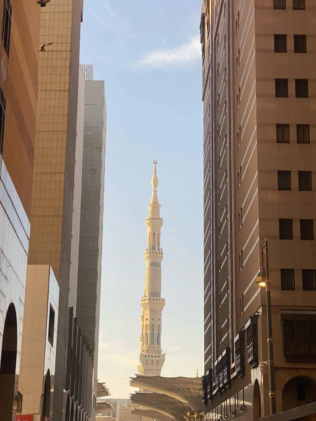 Al Madinah Tour & Travel
